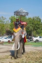 Elephant driver waiting for tourists. Elephant riding