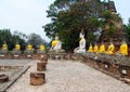 Ayutthaya ancient city ruins in Thailand, Buddha statues Royalty Free Stock Photo