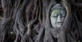 Ayutthaya Buddha Royalty Free Stock Photo