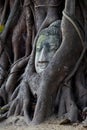 Ayutthaya Buddha Royalty Free Stock Photo