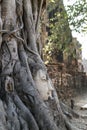 Ayutthaya Buddha