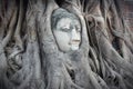 Ayutthaya Buddha head Royalty Free Stock Photo