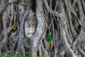 Ayutthaya Buddha Head statue with trapped in Bodhi Tree roots at Wat Maha That, Ayutthaya historical park Royalty Free Stock Photo