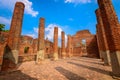 Ayutthaya Historical Park (Wat Phrasisanpetch temple), Ayutthaya, Thailand