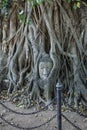 Ayutthaya Province, Thailand, Buddha`s head in the roots of the Bodhi tree in Wat Mahathat.UNESCO World Heritage Site Royalty Free Stock Photo