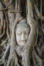Ayutthaya temple Royalty Free Stock Photo