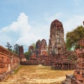 Ayutthaya temple ruins, Thailand Royalty Free Stock Photo