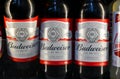 American-style Budweiser Beer Bottles