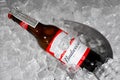American-style Budweiser Beer Bottles Royalty Free Stock Photo
