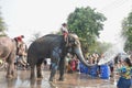 elephant splashing water between tourist in Songkarn festival