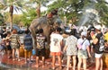 elephant splashing water between tourist in Songkarn festival