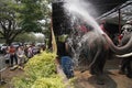 AYUTTHAYA, THAILAND - APRIL 16,2023 : Elephants to spray water for Thai people and foreigner traveler join with Songkran Festival.