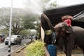 AYUTTHAYA, THAILAND - APRIL 16,2023 : Elephants to spray water for Thai people and foreigner traveler join with Songkran Festival.