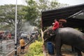 AYUTTHAYA, THAILAND - APRIL 16,2023 : Elephants to spray water for Thai people and foreigner traveler join with Songkran Festival.