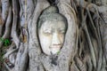AYUTTHAYA, THAILAND - August, 2016: Head of Buddha statue in the tree roots at Wat Mahathat temple, Ayutthaya, Thailand Royalty Free Stock Photo