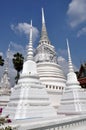 Ayutthaya, Thailand: Chedi at Wat Suwandararam