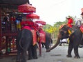 AYUTTHAYA THAILAND-28 FEBRUARY 2019:Ayutthaya Elephant Palace & Royal Kraal.on AYUTTHAYA THAILAND-28 FEBRUARY 2019