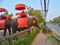 AYUTTHAYA THAILAND-28 FEBRUARY 2019:Ayutthaya Elephant Palace & Royal Kraal Father and son are feeding bananas that are bananas.on