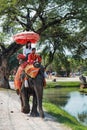 Elephant ride tour of the city Ayutthaya, Thailand Royalty Free Stock Photo