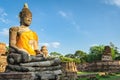 Ayutthaya Thailand, giant Buddha statue in an old temple Royalty Free Stock Photo