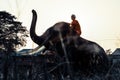 AYUTTHAYA, THAILAND - JANUARY 2019: Trainers bathing elephantsin river in evening and playing with the elephant hidden place in Royalty Free Stock Photo