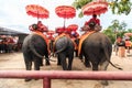 AYUTTHAYA, THAILAND-JULY 25: Tourists on an elephant ride tour Royalty Free Stock Photo