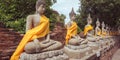 Ayutthaya, Thailand - June 29, 2019: a row of Buddhas at Buddhist temple Wat Yai Chai Mongkhon Royalty Free Stock Photo