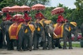 Ayutthaya thailand - september6,2015 : group of elephant in ayutthaya world heritage of unesco in thailand waiting for tourist at