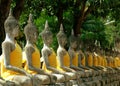 Ayutthaya, Thailand: Temple Buddhas Royalty Free Stock Photo