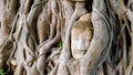 Ayutthaya, Thailand at Wat Mahathat, Temple stupa in the morningvisiting Ayyuthaya Thailand Royalty Free Stock Photo