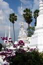 Ayutthaya, Thailand: Wat Suwandararam Chedis