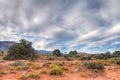 AZ-Grand Canyon National Park-N Rim-Toroweep