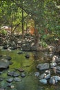 AZ-Sedona-Coconino National Forest