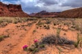 AZ-UT-Paria Canyon-Vermillion Cliffs Wilderness-Paria River Canyon