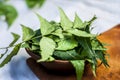 Azadirachta indica,Neem with its leaves in a clay bowl for skin care.. Royalty Free Stock Photo