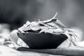 Azadirachta indica,Neem with its leaves in a clay bowl for skin care.. Royalty Free Stock Photo