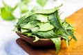 Azadirachta indica,Neem with its leaves in a clay bowl for skin care.. Royalty Free Stock Photo