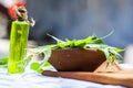 Azadirachta indica,Neem with its leaves and oil in a bottle in a clay bowl for skin care. Royalty Free Stock Photo