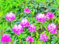 Azalea bush. Bright  purple, lilac flowers on green leaves background. Watercolor painting. Digital painting - illustration. Royalty Free Stock Photo