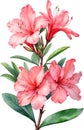 Azalea flower watercolor painting. AI-Generated.