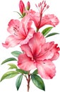 Azalea flower watercolor painting. AI-Generated.