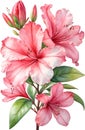 Azalea flower watercolor painting. AI-Generated.