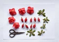 Azalea flowers and buds prepared for the pressed against the background of a botanical picture, a herbarium of dried