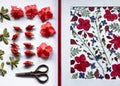 Azalea flowers and buds prepared for the pressed against the background of a botanical picture, a herbarium of dried