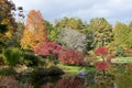 Azalea Garden Royalty Free Stock Photo