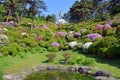 Azalea garden in Shiofune Kannon Temple