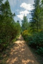 Azalea and Rhododendron Park in Kromlau, saxony