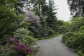 Azaleas gardens in Rochester, New York Royalty Free Stock Photo