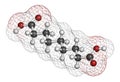 Azelaic acid (nonanedioic acid) molecule. Used in treatment of acne and rosacea. Atoms are represented as spheres with Royalty Free Stock Photo