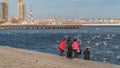 People feed the seagulls on the waterfront